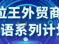 沙拉王外贸商务英语系列课：从询盘到成单的实战话术与跟进技巧