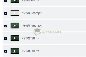 戴鸿涛钢笔字视频教程 正楷20讲+行楷14讲