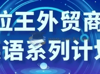 沙拉王外贸商务英语系列课：从询盘到成单的实战话术与跟进技巧