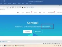 SpringCloud2024实战教程：微服务架构与源码深度解析