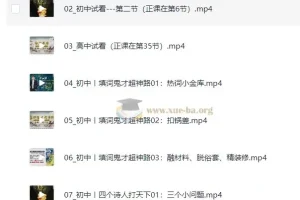 杨自豪爆破作文课程 初中高中语文作文48节完结