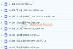 2024高二化学冯琳琳A班寒假班 课程资源