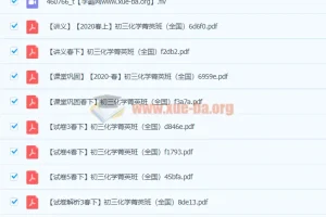 2020春初三化学陈谭飞菁英班全套课程资源