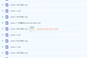 陈嘉铭英语2套 21天搞定考研英语+考研长难句基础语法