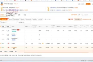 2023淘宝直通车实操教程：新手从0到精通SEO优化指南
