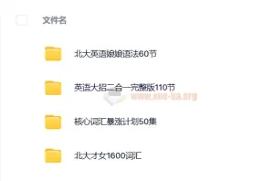 北大英语娘娘语法+核心词汇暴涨计划+英语大招+北大才女16000词汇