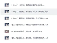 B站付费课程 韩小四瘦腿直腿居家训练全方案 14天腿型矫正