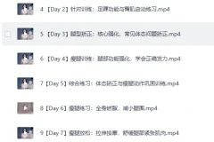 B站付费课程 韩小四瘦腿直腿居家训练全方案 14天腿型矫正