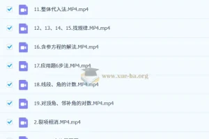 初中数学七年级同步拔高课程 初一数学大招解题方法精讲