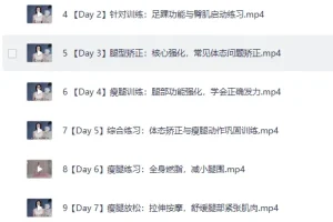 B站付费课程 韩小四瘦腿直腿居家训练全方案 14天腿型矫正