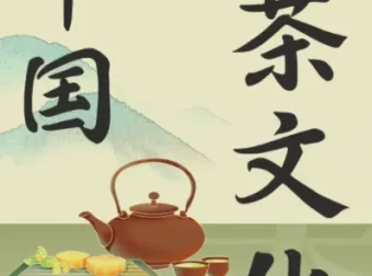茶之道：中国茶文化必修课【完结】——从陆羽《茶经》到宋代点茶，系统读懂中国茶