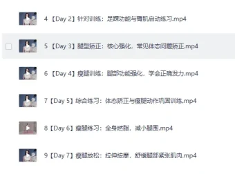 B站付费课程 韩小四瘦腿直腿居家训练全方案 14天腿型矫正