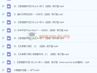 2024初三中考化学 杨雯智 A+暑假班 视频课程