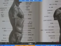 插画基础入门教程：SAI与Photoshop完全学习指南