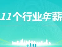 上市公司老板亲授：11个行业年薪30万实战指南