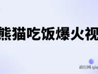 AI熊猫吃饭视频原创教程 轻松日入300+ 简单易懂