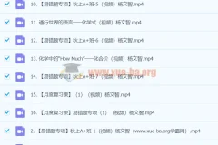 2024初三中考化学 杨雯智 A+暑假班 视频课程