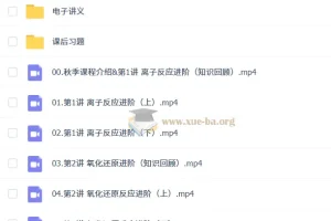 2027高中高一化学 李政 秋季班 课程资源