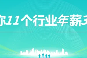 上市公司老板亲授：11个行业年薪30万实战指南