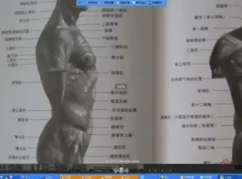插画基础入门教程：SAI与Photoshop完全学习指南