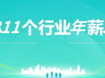 上市公司老板亲授：11个行业年薪30万实战指南
