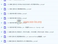2024高二英语 张亮英语 A+秋季班 课程合集