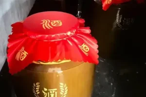 各种酿酒教程合集 视频+PDF 从米酒果酒到白酒酿造技术