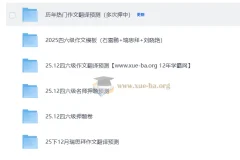 2025大学英语四六级押题预测包 名师押题卷+作文翻译预测+模拟卷汇总