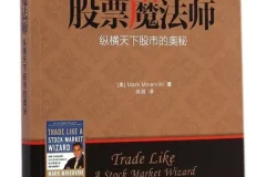 《股票魔法师：纵横天下股市的奥秘》米勒维尼 豆瓣8.9[PDF]