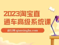 2023淘宝直通车高级系统课，直通车完整体系实操教学