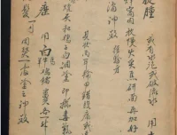 德国某大学馆藏稀缺中医古籍PDF合集