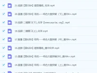 2024高考化学二轮复习 康冲A+春季班精讲课程