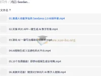 鸿启Seedance2.0超级个体训练营 普通人AI创作实战课