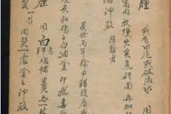 德国某大学馆藏稀缺中医古籍PDF合集