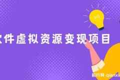 全网引流实操课：软件虚拟资源变现项目，日入1000＋