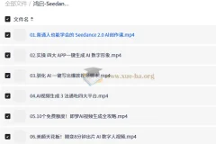 鸿启Seedance2.0超级个体训练营 普通人AI创作实战课