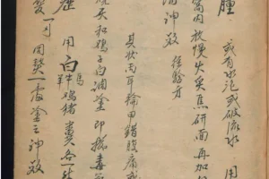 德国某大学馆藏稀缺中医古籍PDF合集