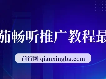 斗破苍穹直播挂机 番茄畅听小说推广实操教程