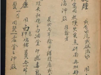 德国某大学馆藏稀缺中医古籍PDF合集