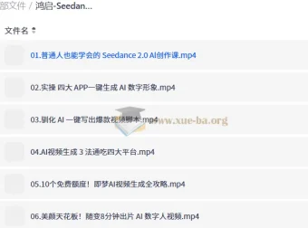 鸿启Seedance2.0超级个体训练营 普通人AI创作实战课