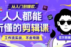 B站收费课程《人人都能听懂的剪辑课》百万剪辑师实战教学 无水印版