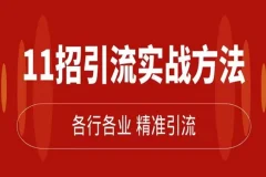 精准引流术：11招实战方法，让私域流量加到爆（11节完整课）