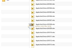 少儿英语启蒙动画《苹果和洋葱 Apple & Onion》全两季资源