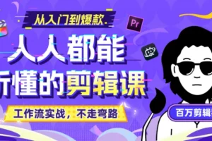 B站收费课程《人人都能听懂的剪辑课》百万剪辑师实战教学 无水印版