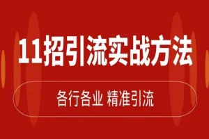 精准引流术：11招实战方法，让私域流量加到爆（11节完整课）