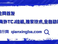 海外TCJ挂机项目实操课程，全自动验证码识别技术分享