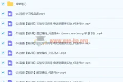 2024高考物理 何连伟A+寒假班 课程资源