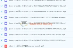 中考英语从句全解析 冲刺高分必备课程