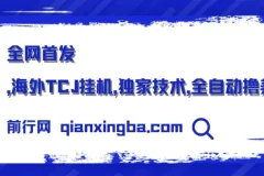 海外TCJ挂机项目实操课程，全自动验证码识别技术分享