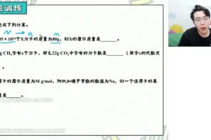 2024高一化学必修一系统课 陈鲁丹精讲实验与离子反应